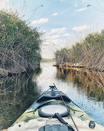 Cycling on a hard-surface trail in Illinois